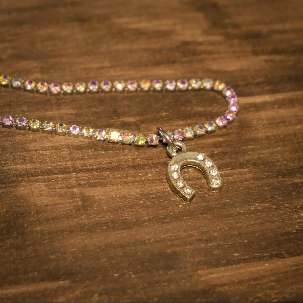 Gorgeous silver horseshoe necklace! 🧲